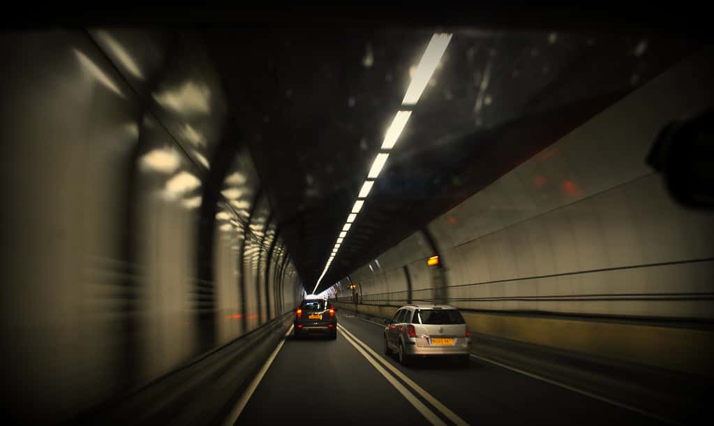 Predictions About the Future Facts