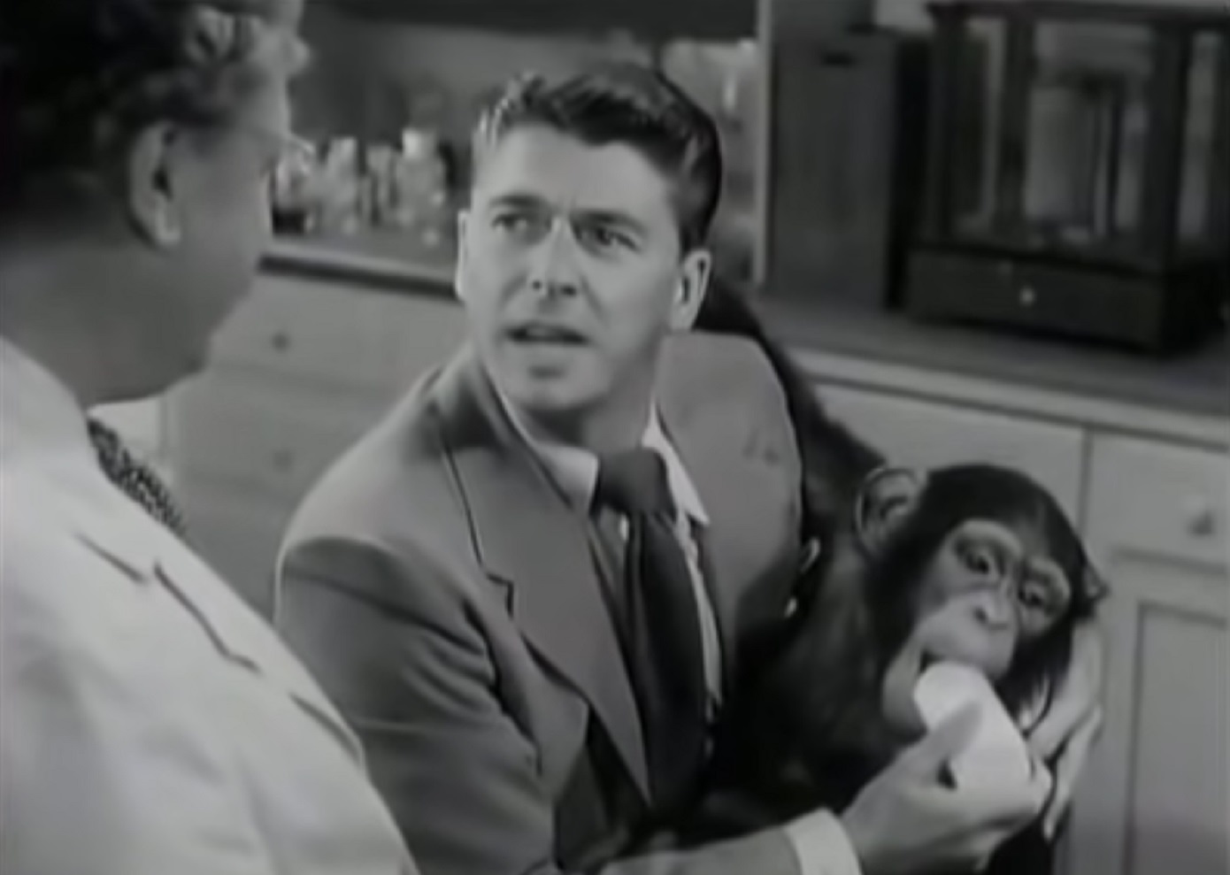 Gut-Busting Facts To Send Your Favorite Trivia Freak