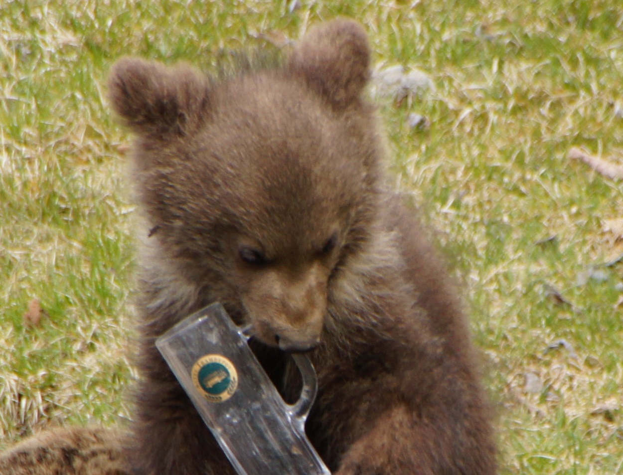 Gut-Busting Facts To Send Your Favorite Trivia Freak