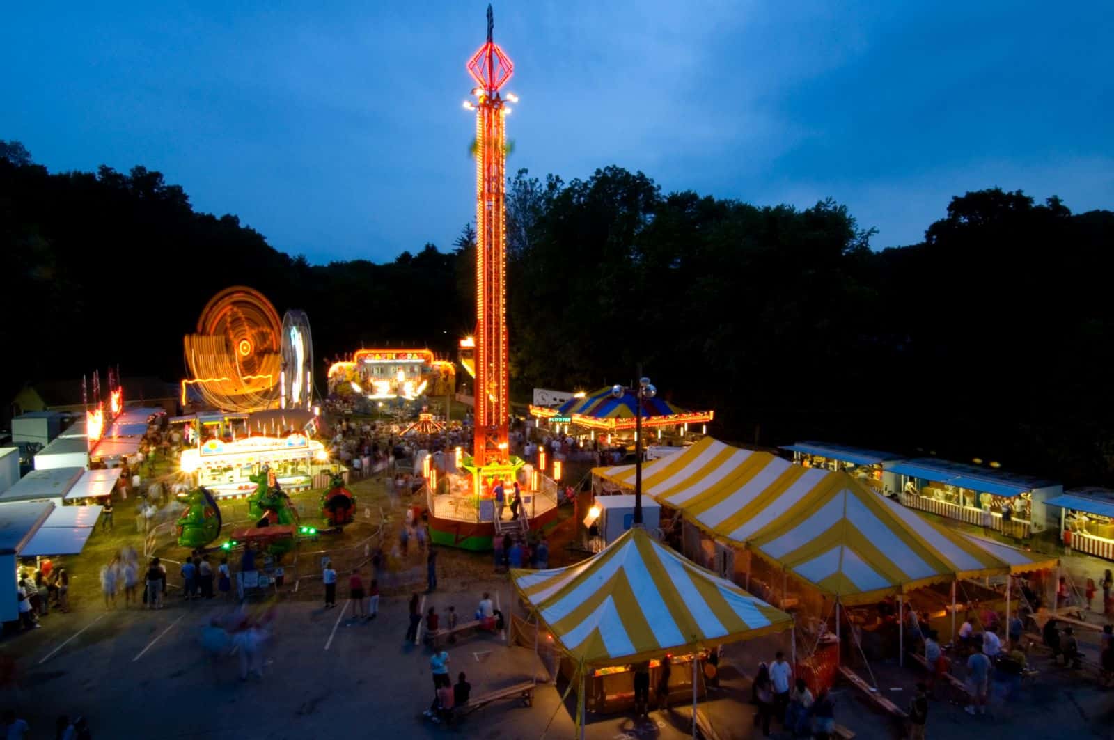 Martha Stewart facts