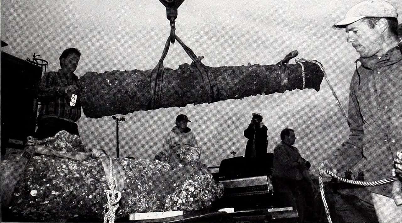 Treasure Hunters Facts