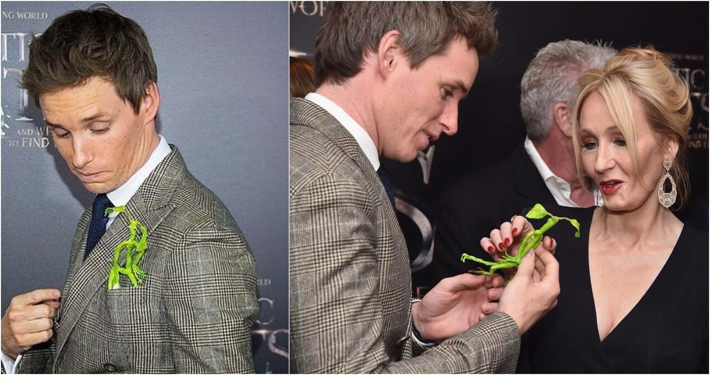 fantastic beasts facts