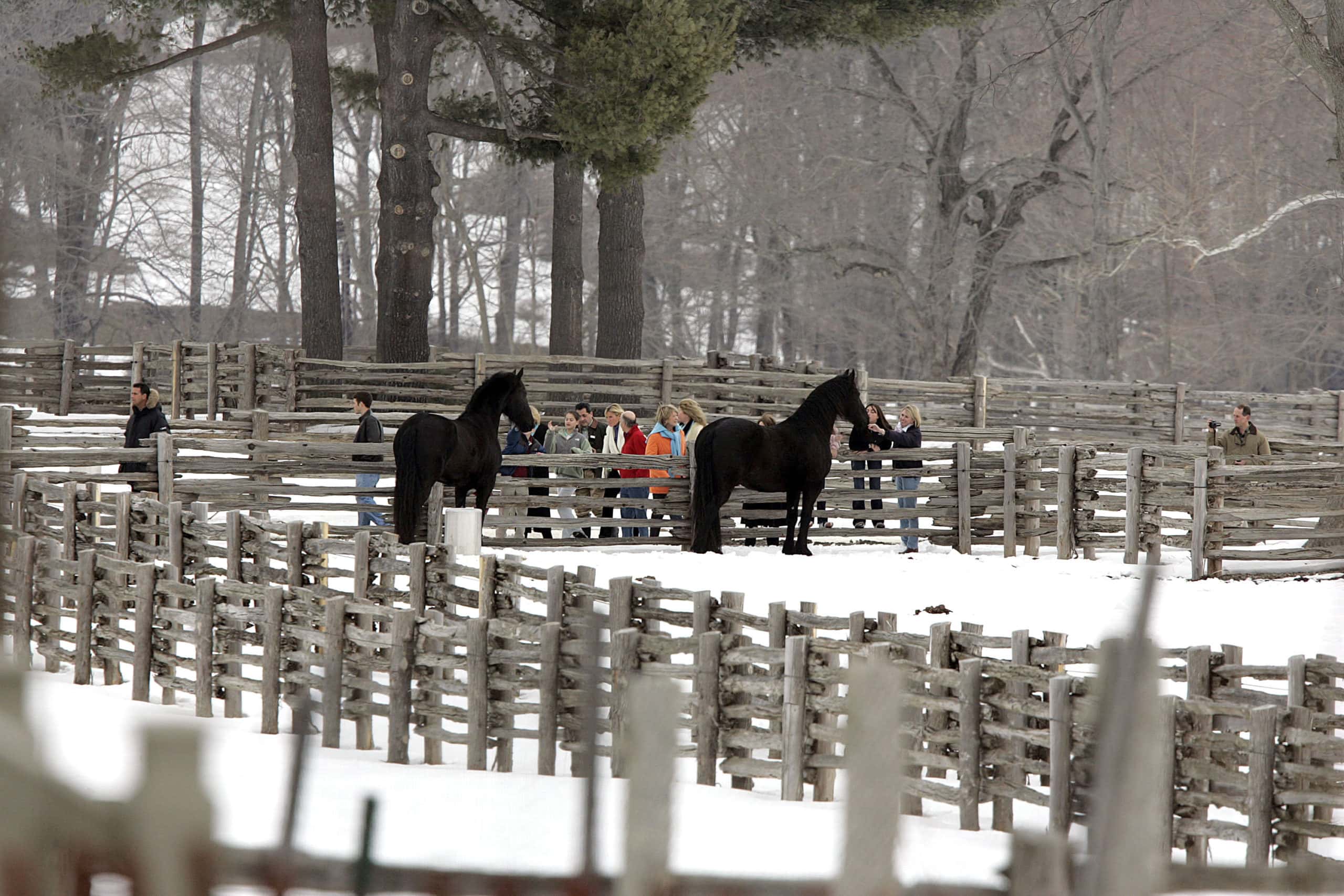 Martha Stewart (Center-orange coat) is surrounded by friends and family members at her Katonah estate