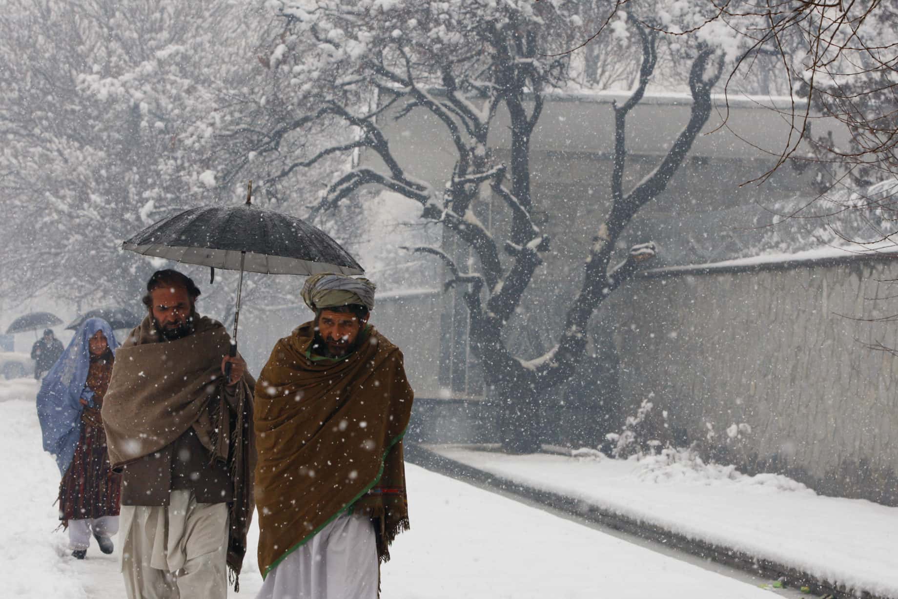 Natural Disasters Facts