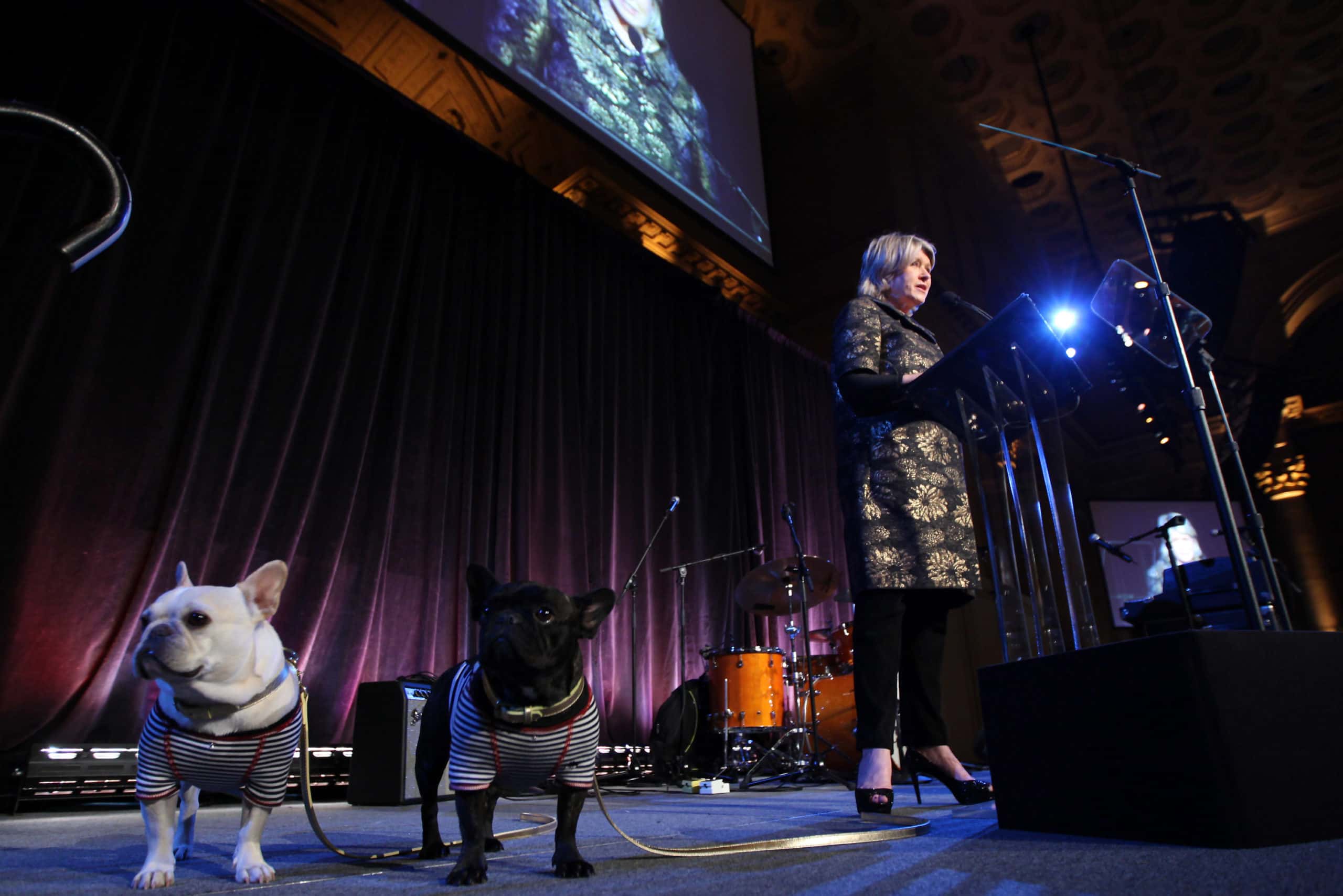 Martha Stewart at North Shore Animal League America's 4th Annual DogCatemy Gala