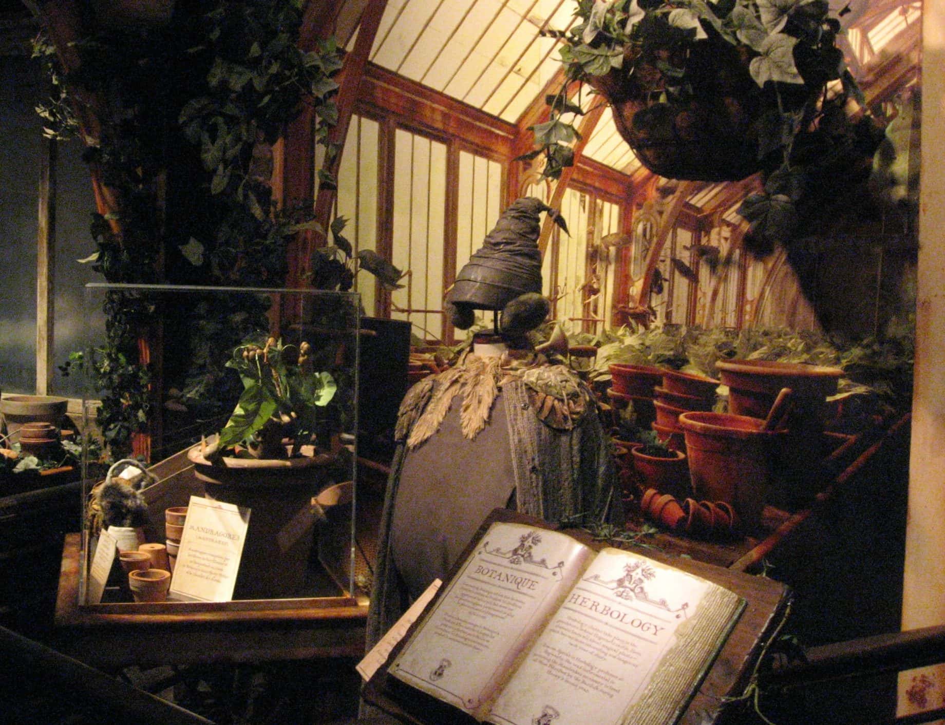 Neville Longbottom Facts