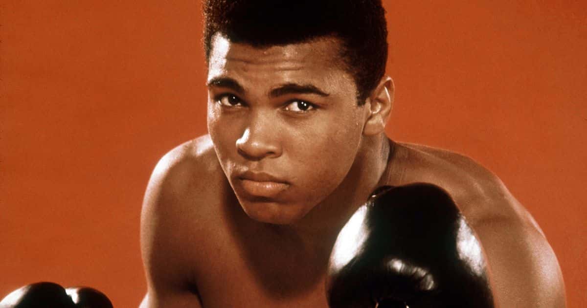 Coolest Lines in History Facts