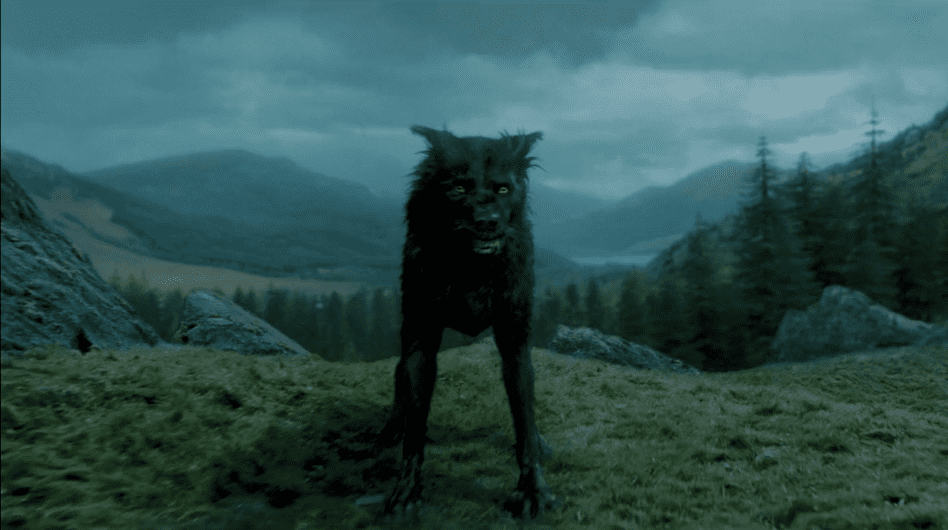 sirius black facts Potter Movies