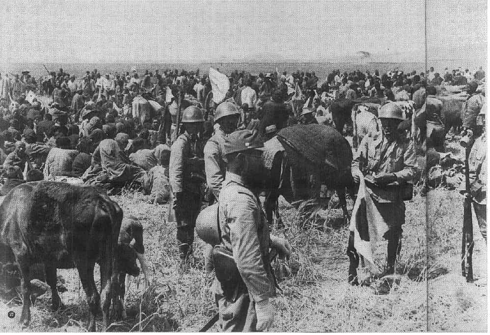 Natural Disasters Facts