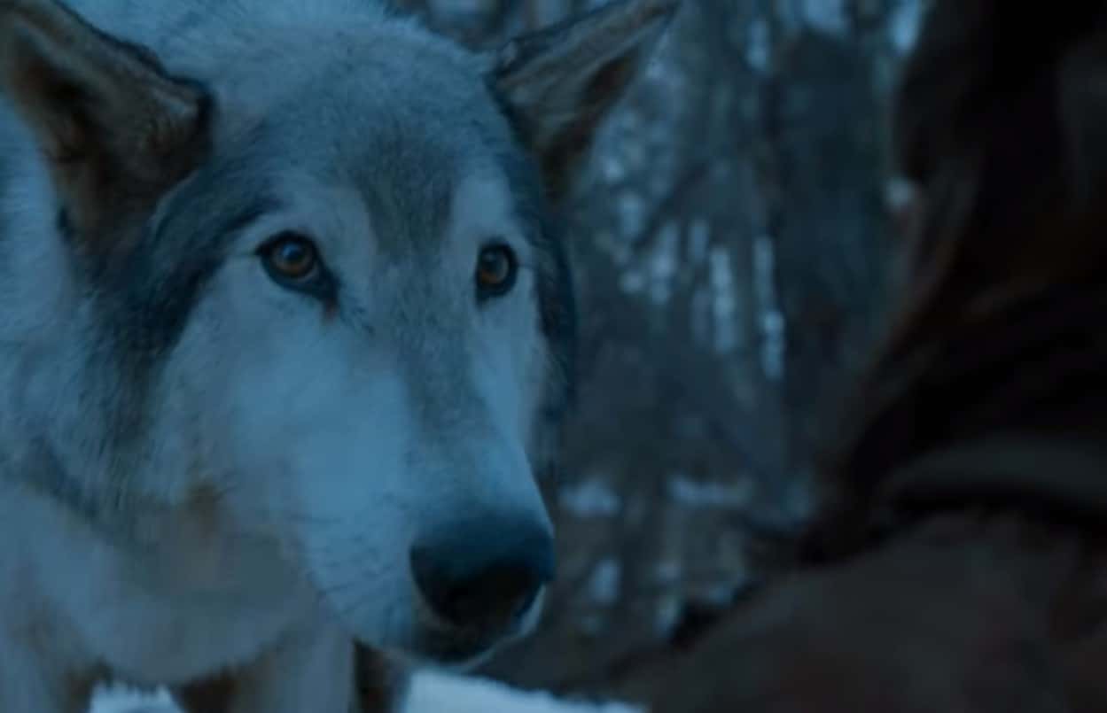 Toughest Women of Game of Thrones Facts