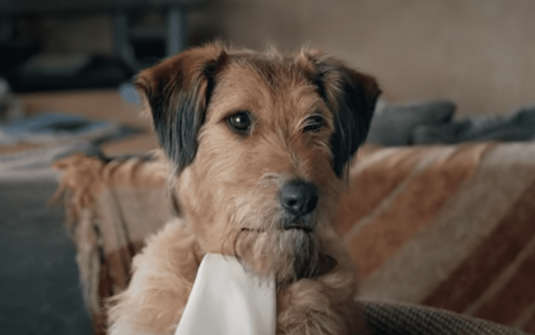 Robin Williams Films facts