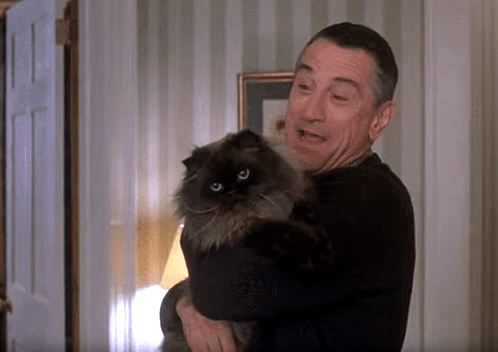 Ben Stiller Movies facts