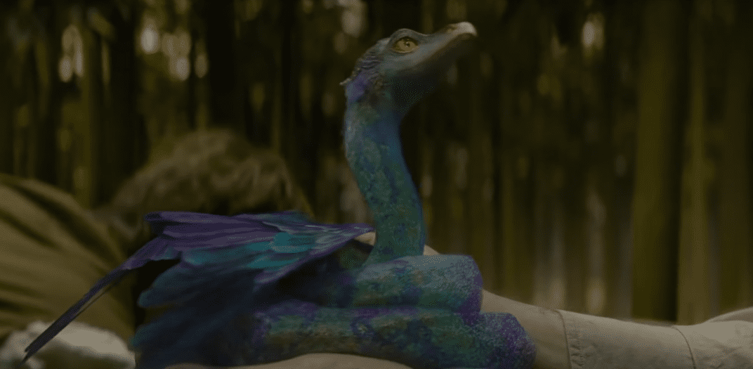 Fantastic Beasts Facts