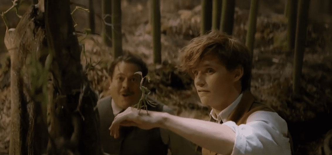 Fantastic Beasts And Where To Find Them Facts