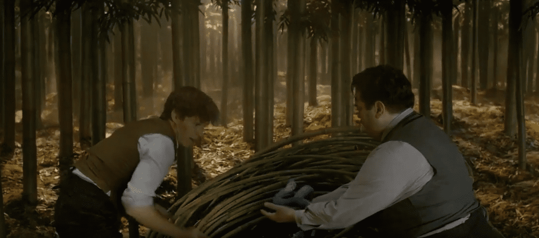 Fantastic Beasts And Where To Find Them Facts