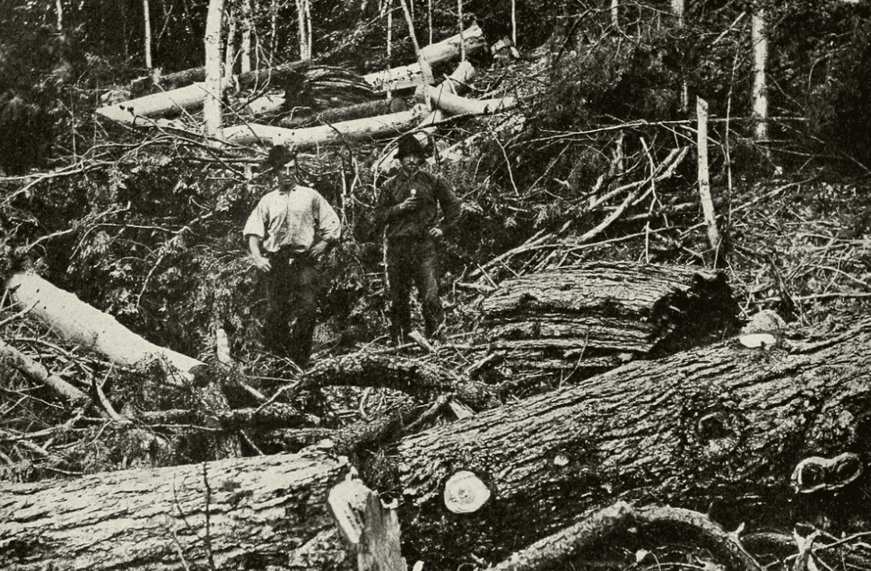 Clint Eastwood Facts