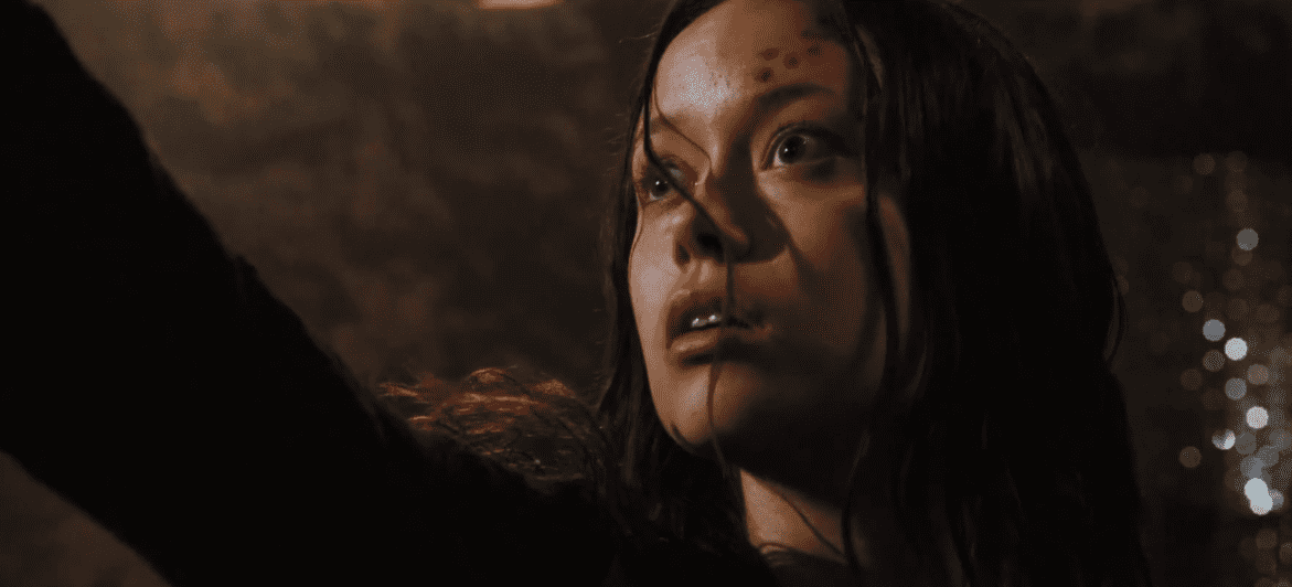 Firefly and Serenity Facts