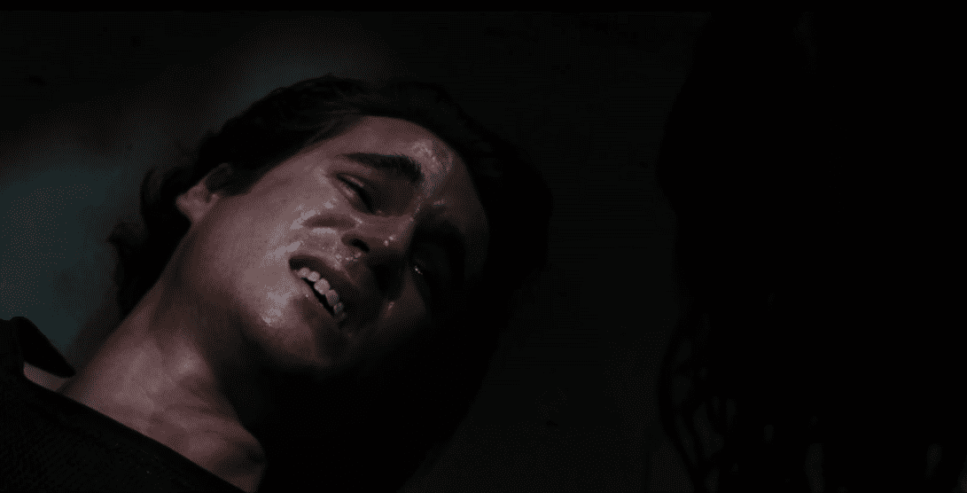 Firefly and Serenity Facts