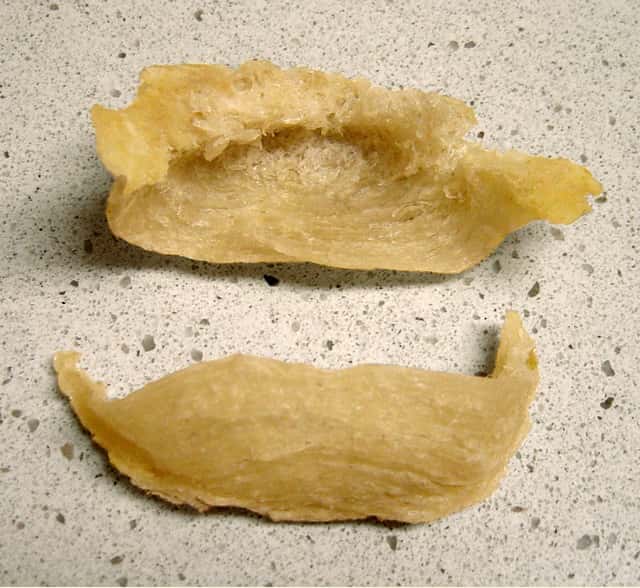 Weirdest Foods Facts