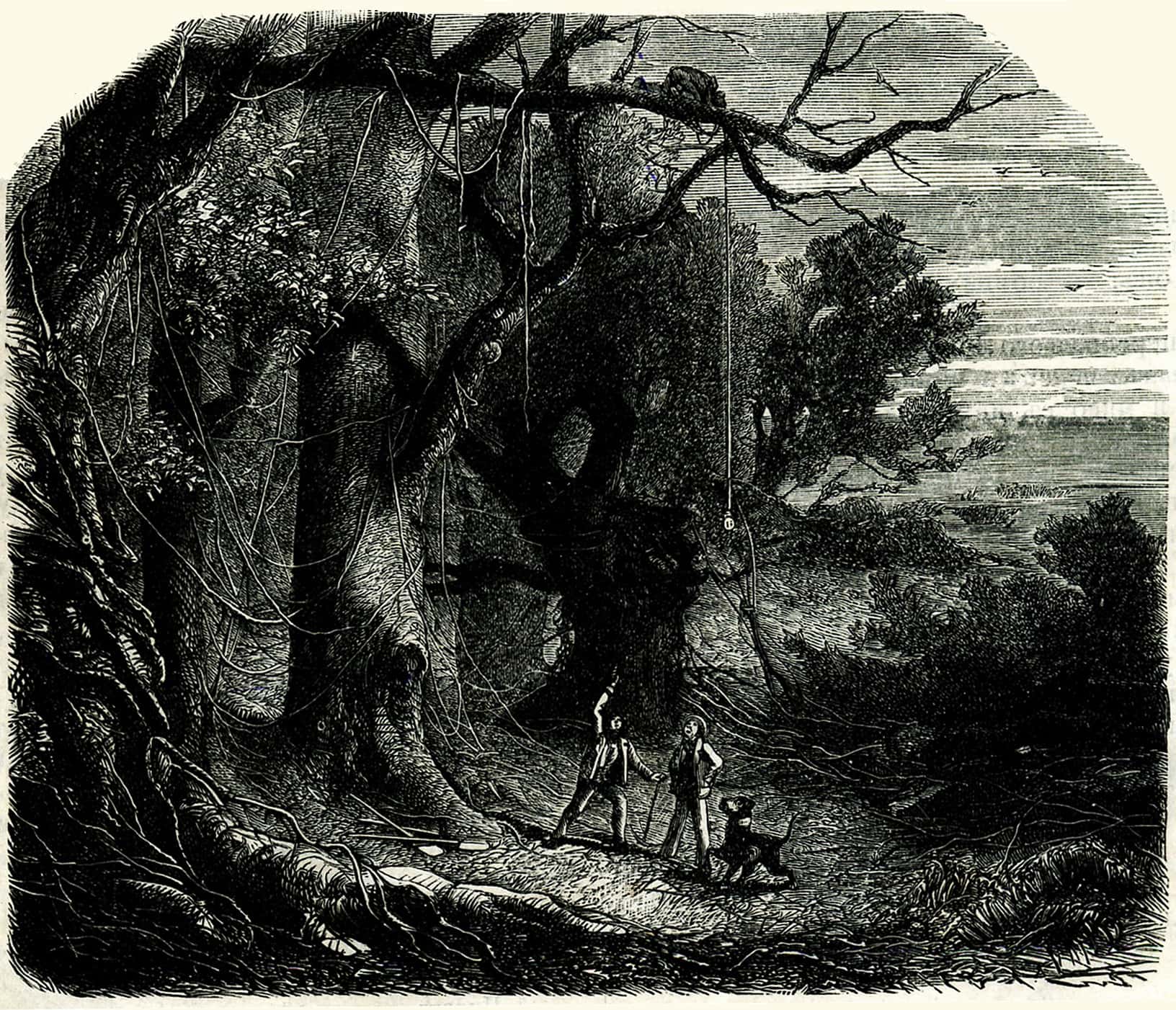 Codes and Ciphers Facts