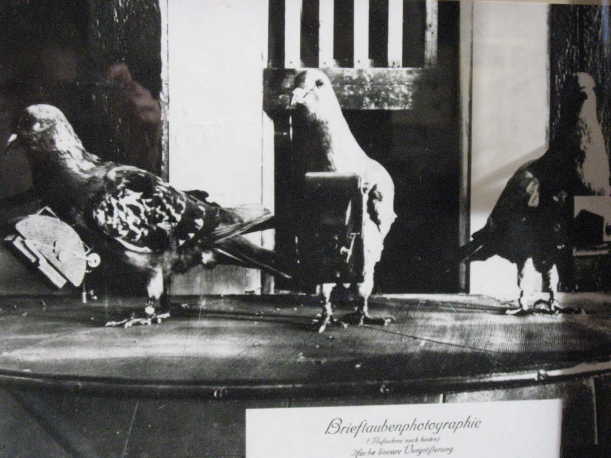 Codes and Ciphers Facts