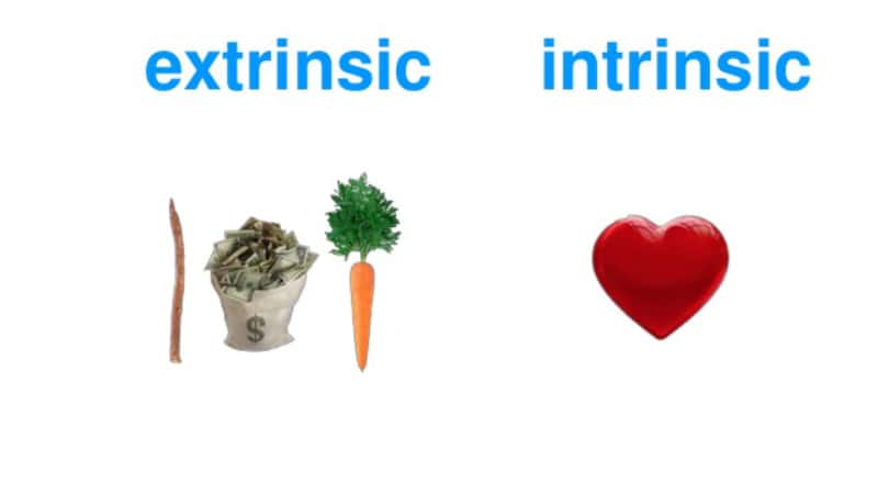 success and happiness facts