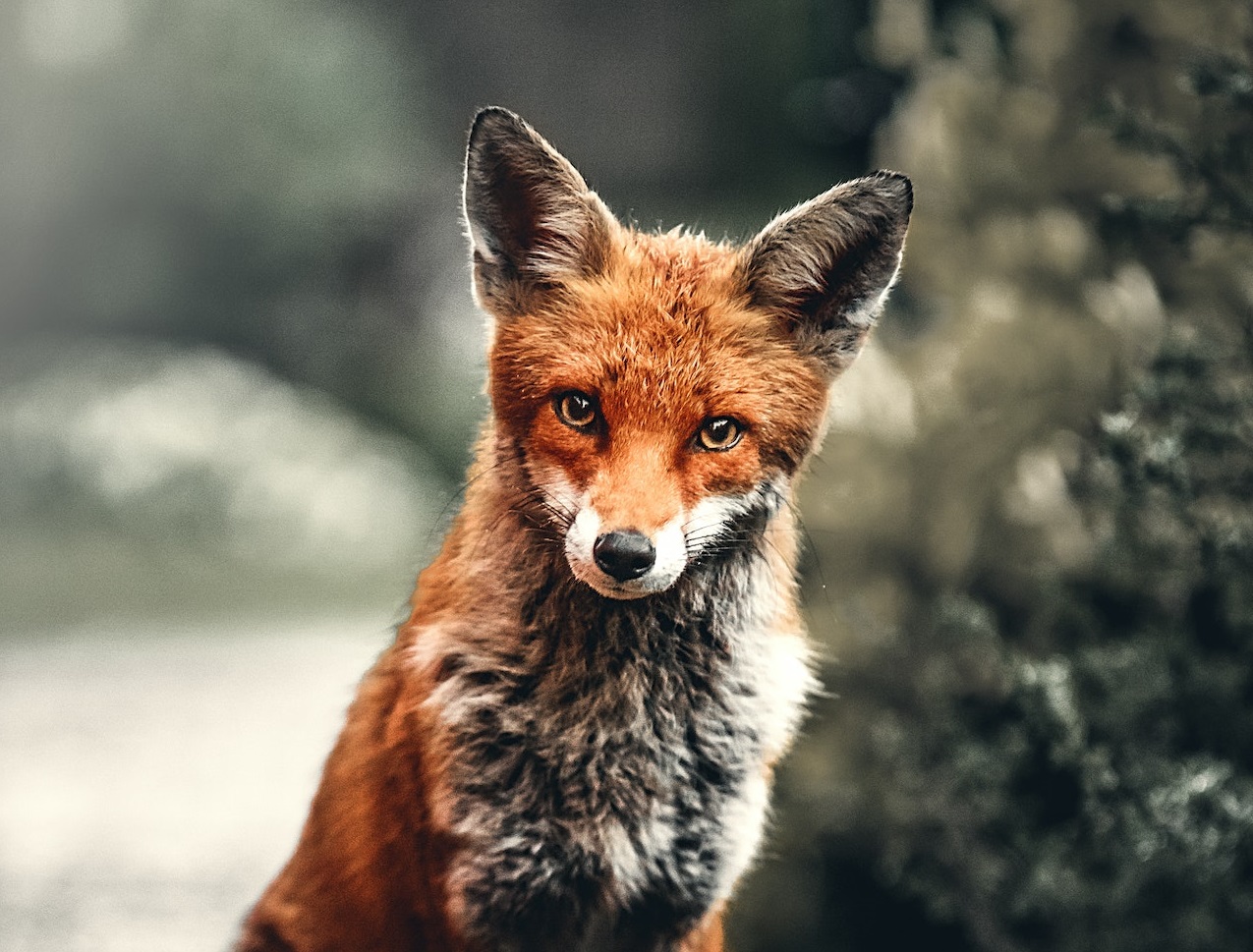 Gut-Busting Facts To Send Your Favorite Trivia Freak