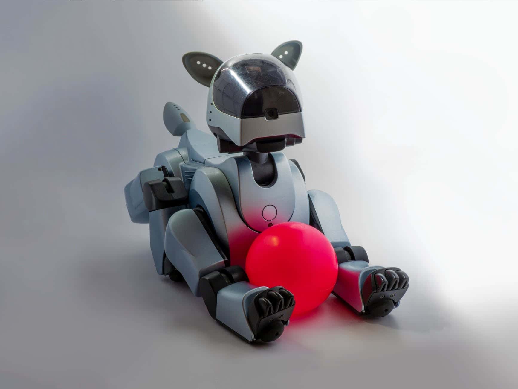 Predictions About the Future Facts