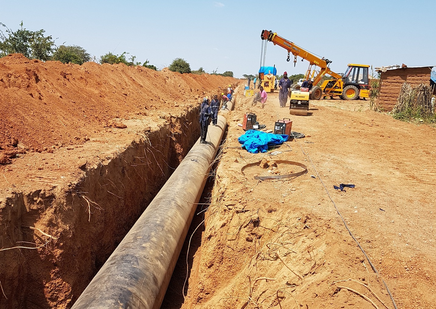 Gut-Busting Facts To Send Your Favorite Trivia Freak