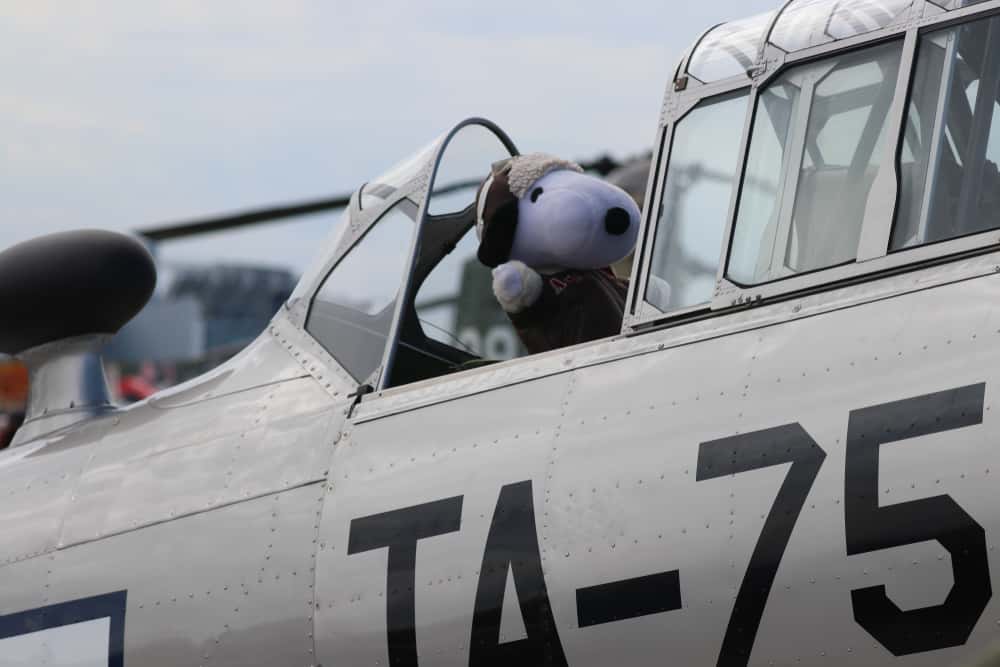 Fighter Pilots Facts