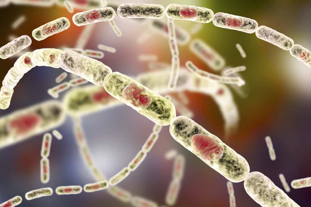 Deadliest Modern Weapons facts