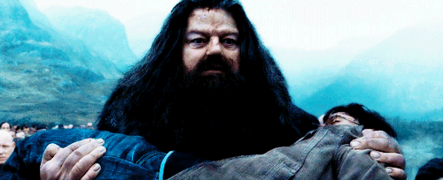 Harry James Potter facts