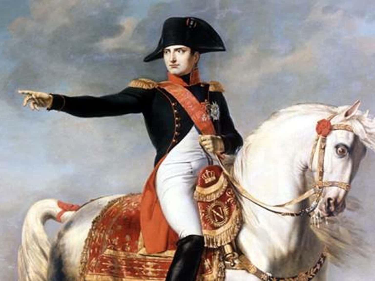Napoleon Bonaparte facts