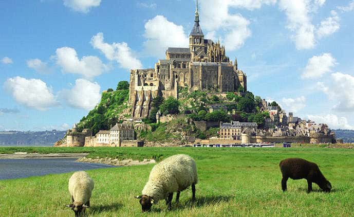 william the conqueror facts