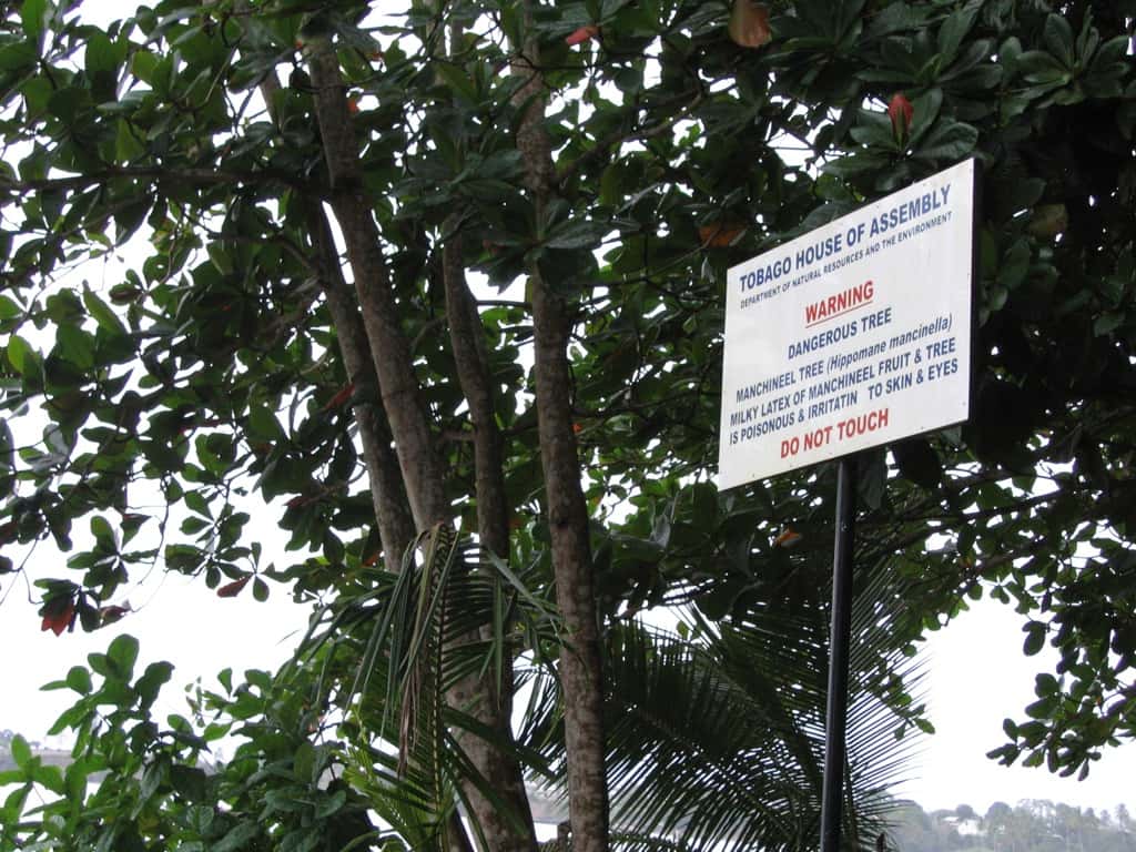 Bizarre Occurrences Facts