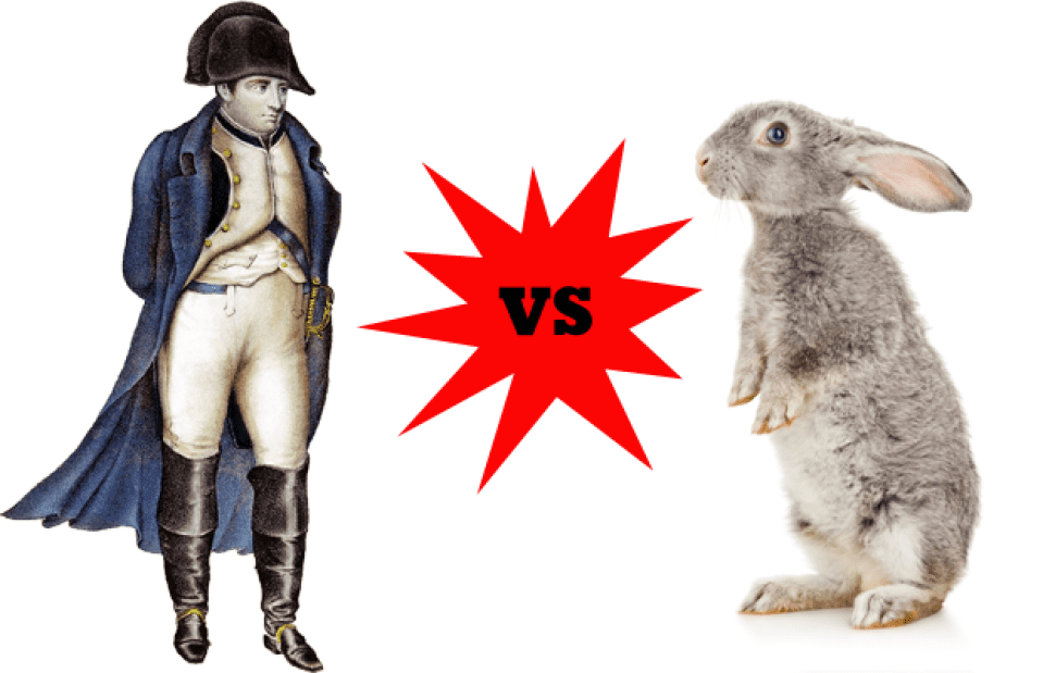 Napoleon Bonaparte facts