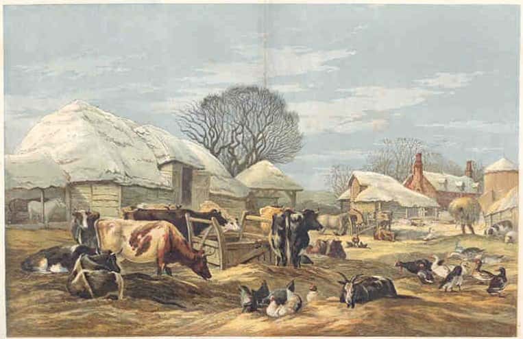 Medieval England facts