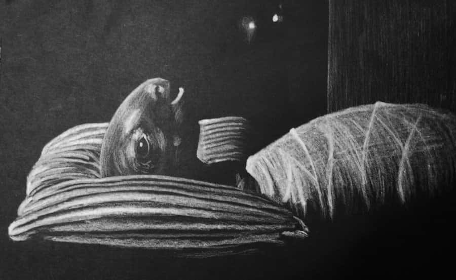 David Lynch Films facts