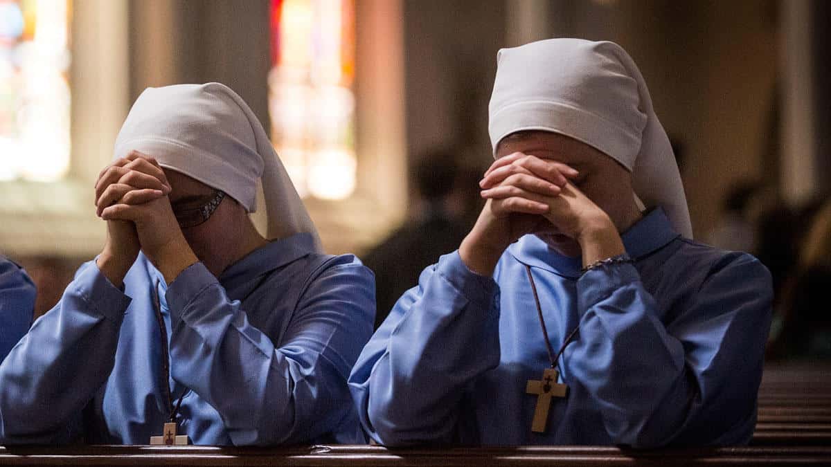 David Lynch Films facts