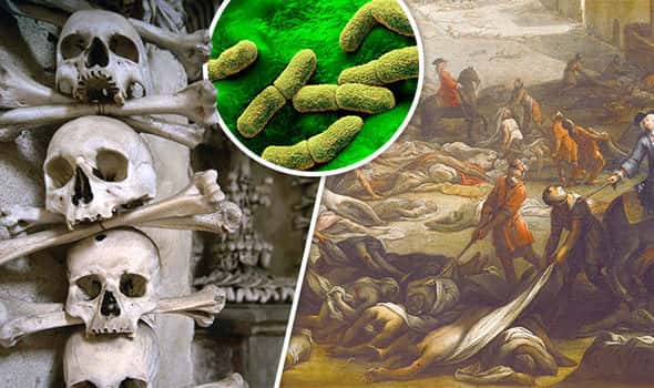 Medieval England facts