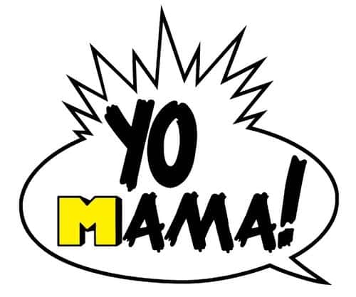 william the conqueror facts