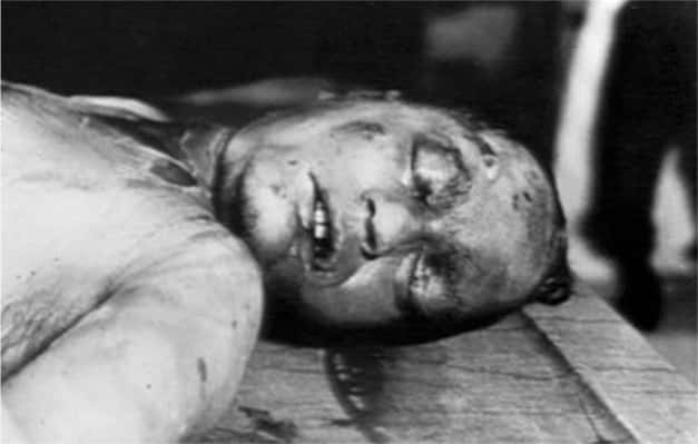 True Crime Cases facts