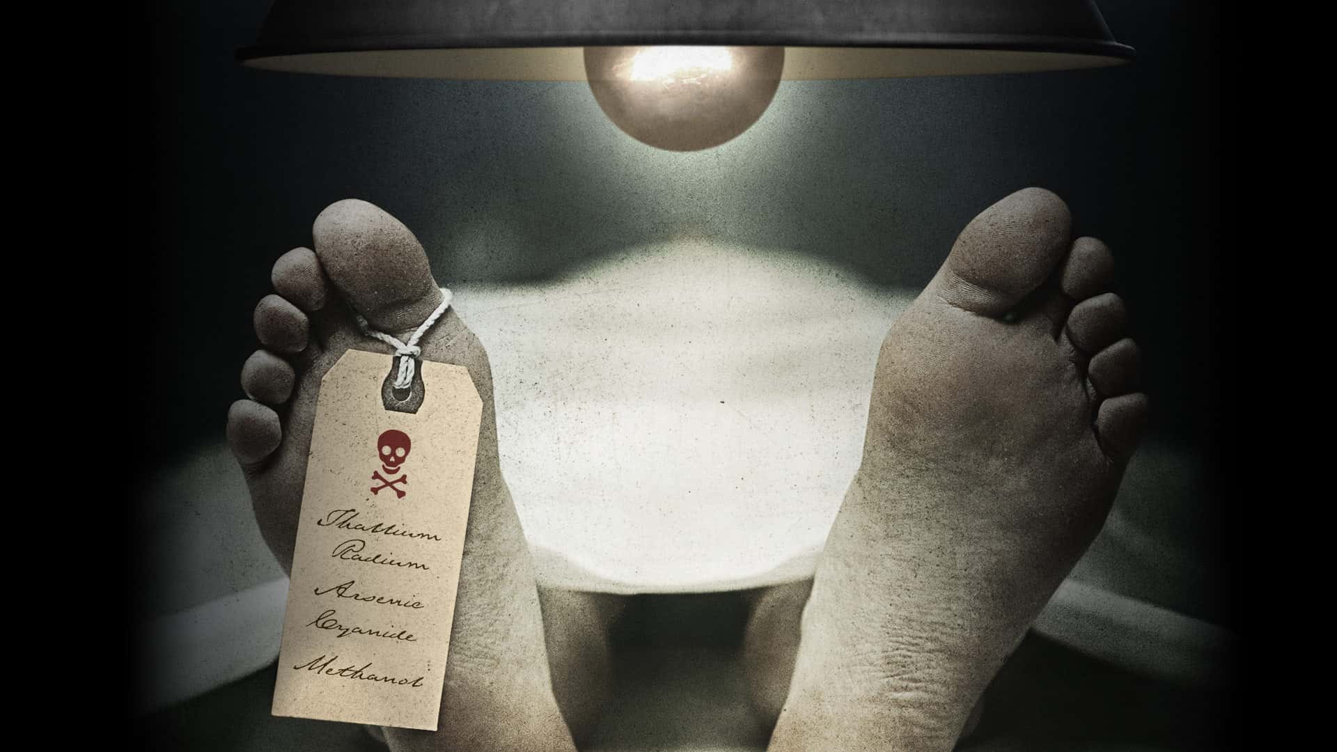 True Crime Cases facts