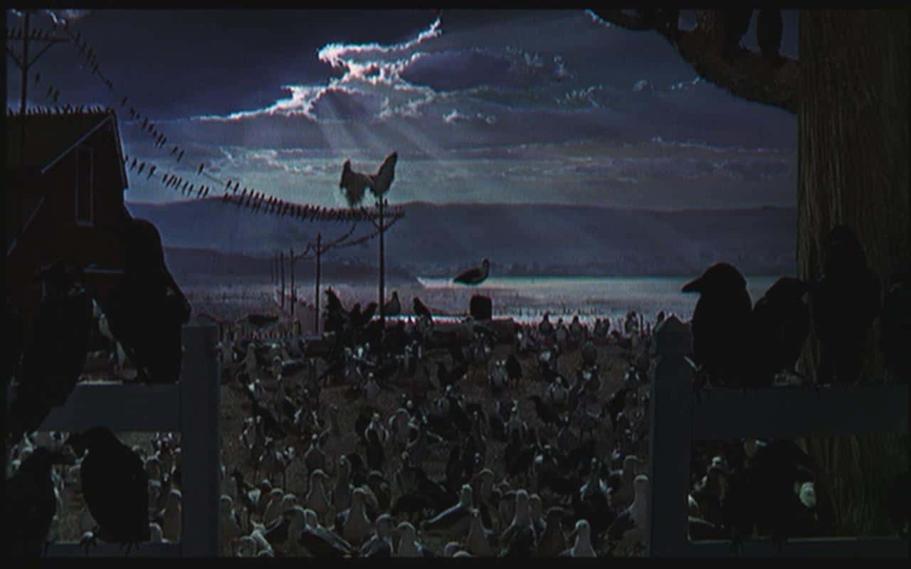 Alfred Hitchcock Movies Facts