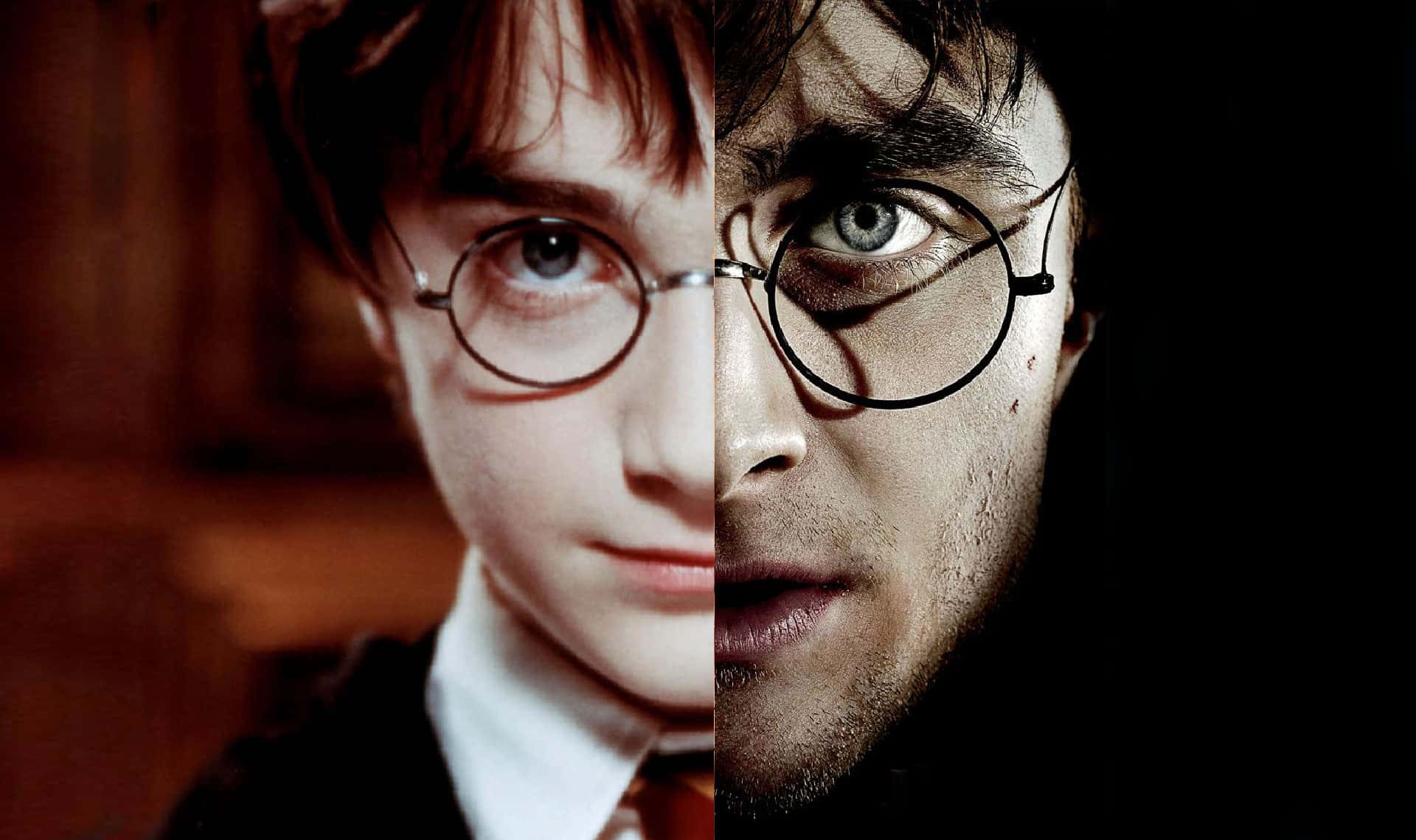 Harry James Potter facts 