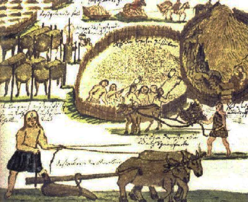 Spanish Conquistadors facts