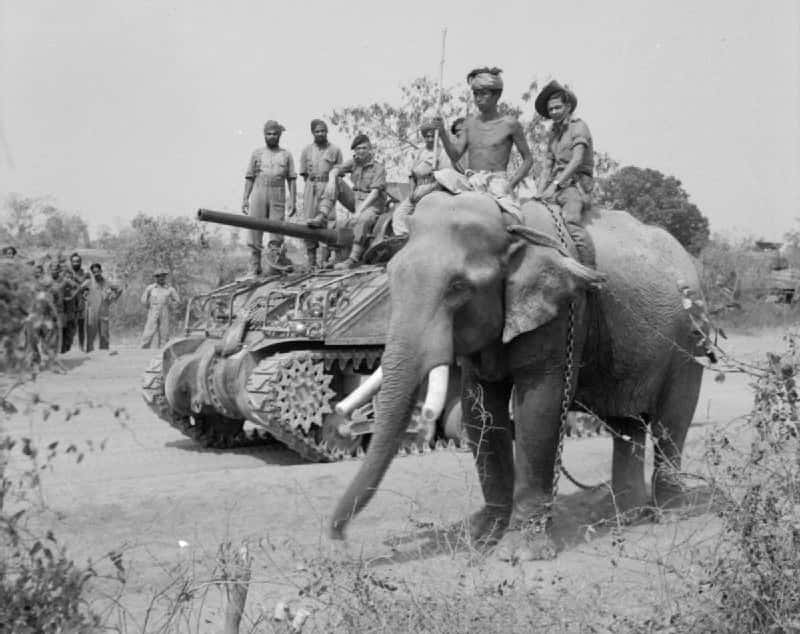 Psychological Warfare Facts