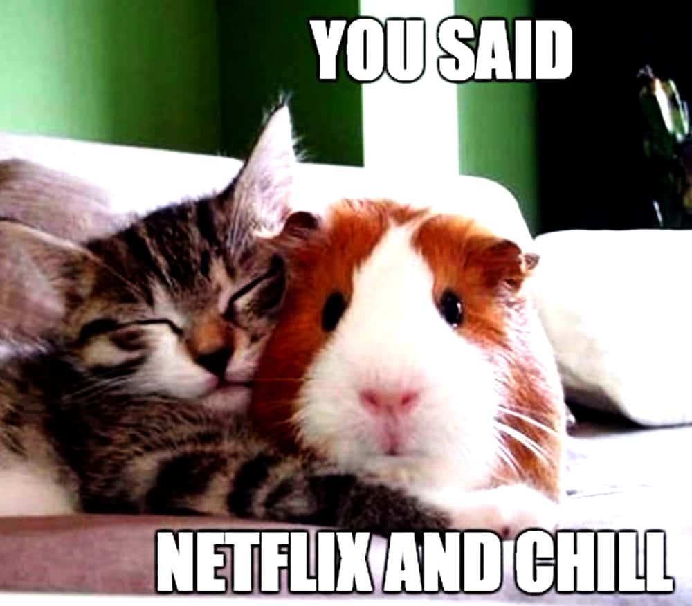 Dating & Relationships facts 