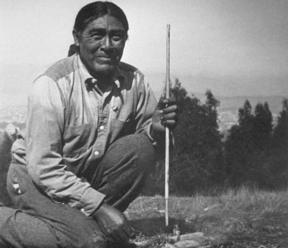 Secluded Civilizations Facts