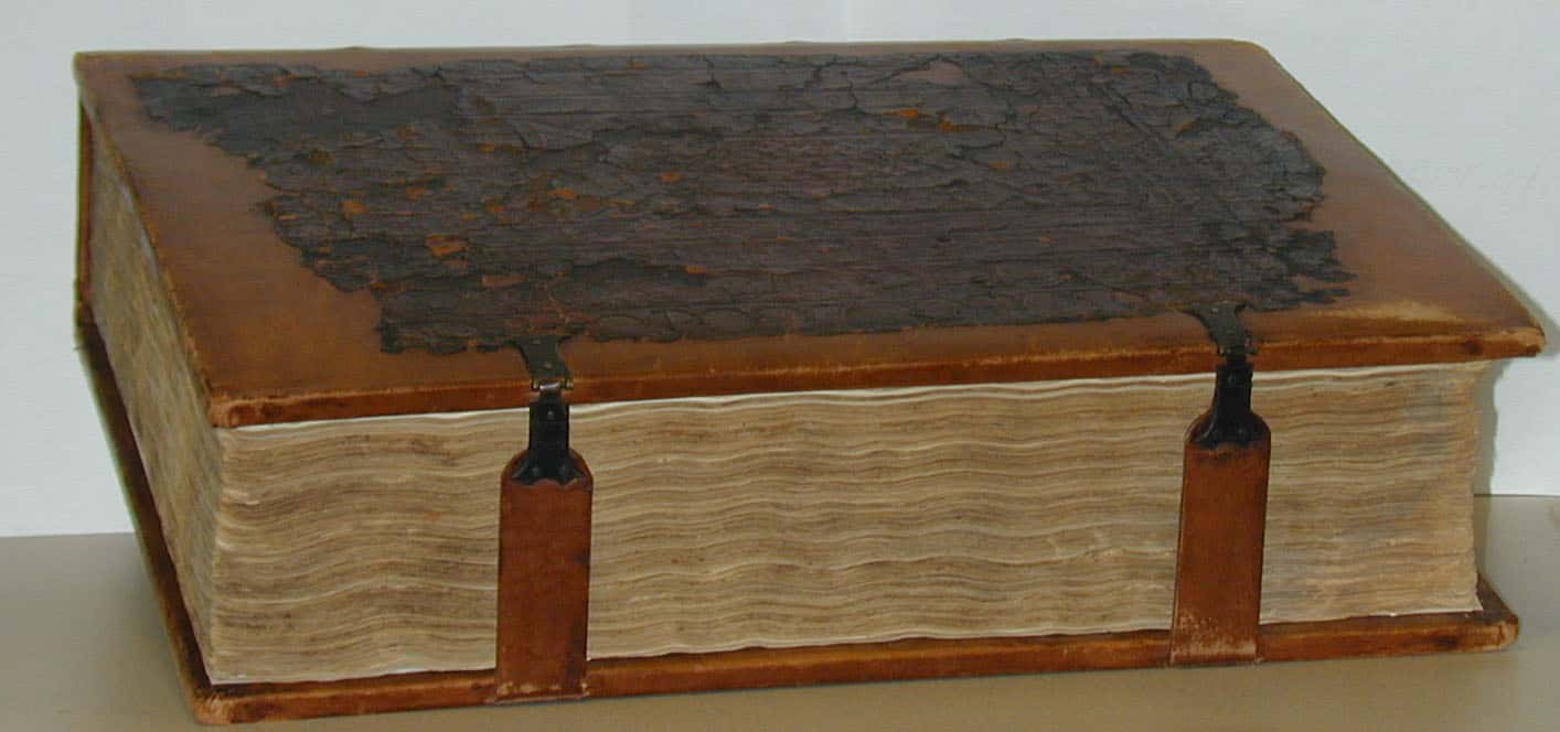 Roman Emperors facts